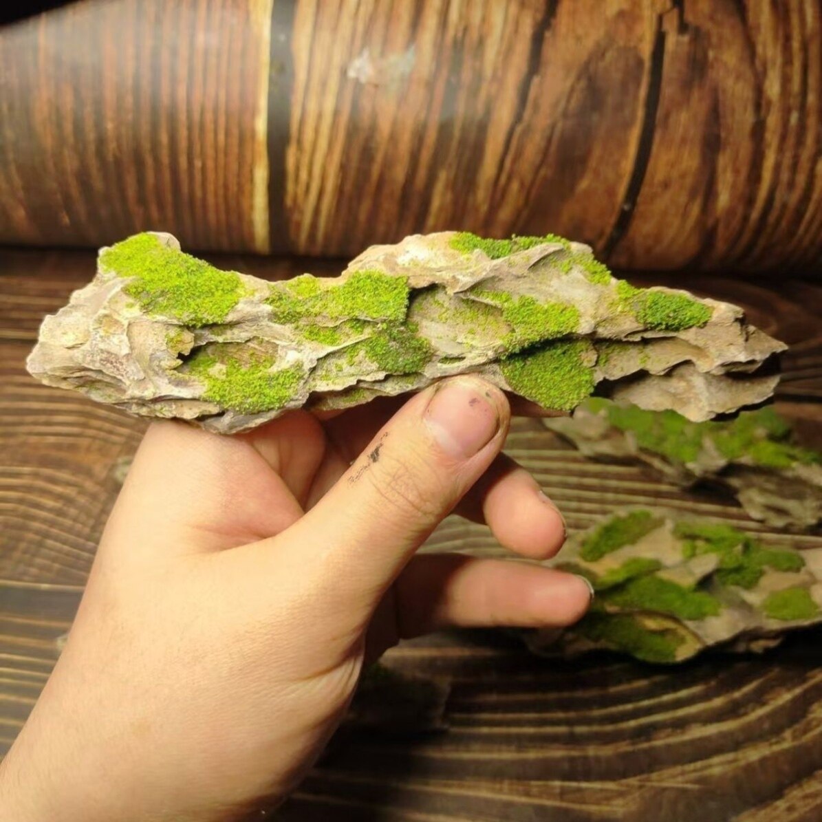 仿真苔藓鱼缸造景水族雨林森系素材石头网红装饰青苔摆件手工生态