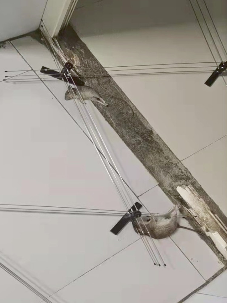 A SET OF PROFESSIONAL RAT-CATCHING POWER GRIDS AN UPGRADED VERSION OF THE POWER CONTROLLER AN INDOOR AND OUTDOOR PRECISE BLOCKING TO SOLVE THE RODENT PROBLEM