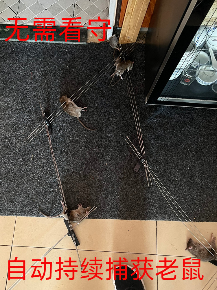 PROFESSIONAL RAT TRAP GRID BOXED SET OF SELF-STABILIZING NO NEED TO GUARD THE HOUSEHOLD INDOOR AND OUTDOOR CONTINUOUS PRECISION TO PREVENT RODENT EXTERMINATION
