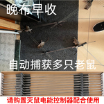 专业灭鼠捕鼠电网室内户外餐厅超市仓库厨房无需看守持续捕获老鼠