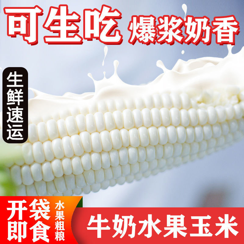 福建牛奶玉米冰糖爆浆当季水果
