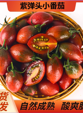 紫弹头迷彩小番茄新鲜圣女果紫葡萄番茄当季水果现摘5斤现摘包邮