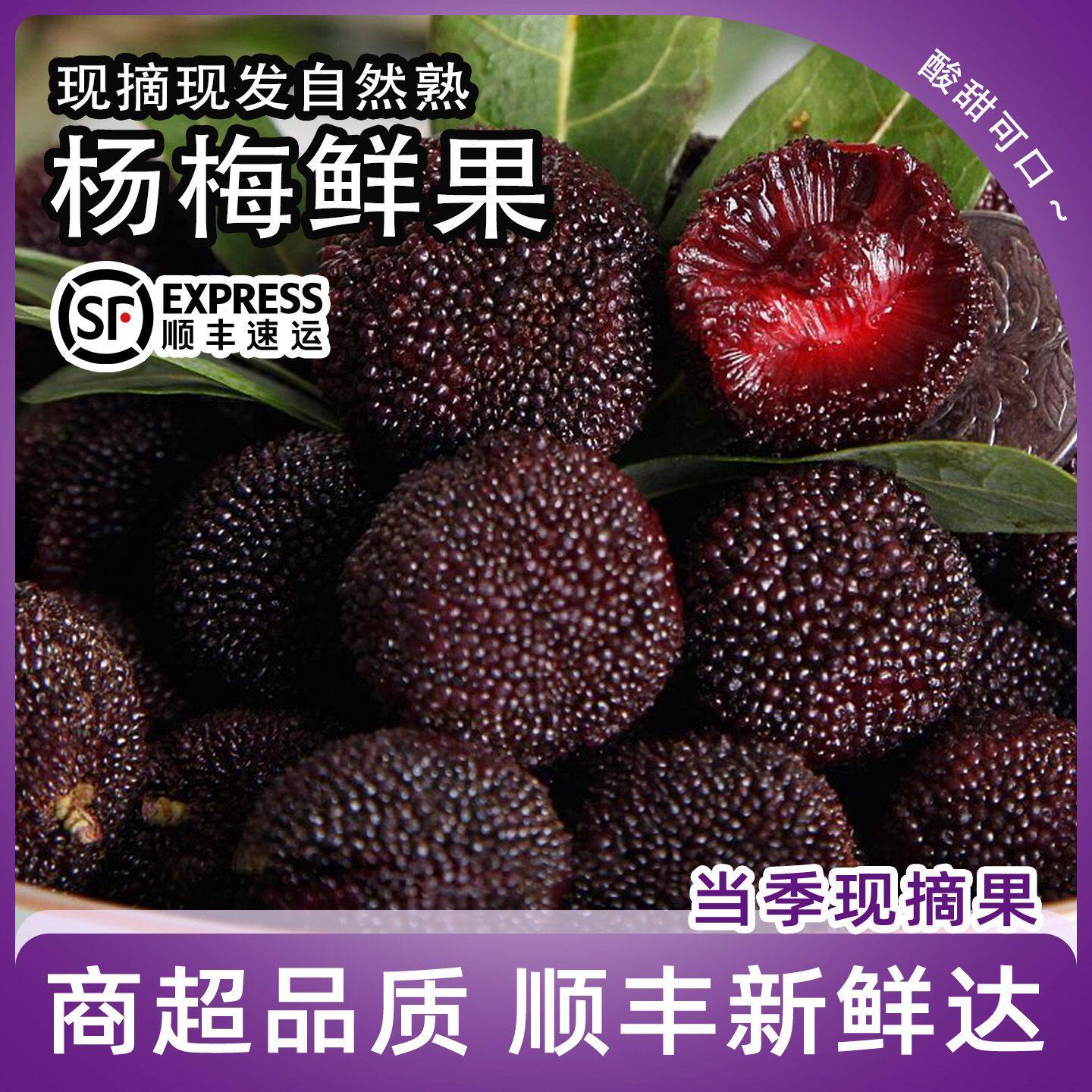 【顺丰包邮】福建浮宫杨梅新鲜杨梅孕妇水果当季早梅现货现摘