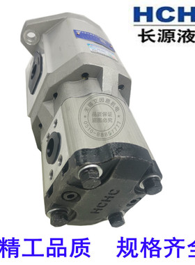 合肥长源液压双联齿轮泵电动泵CBQT-F563/F432-AFP/AFPL/AFH/AFHL