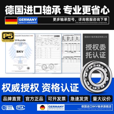 进口轴承型号大全6200RS6201高速6202电机6203 6204轴承6205 6206