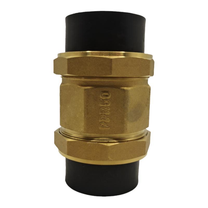 PE止回阀单向阀重型卧式63 75 90 110 4寸回流防倒灌