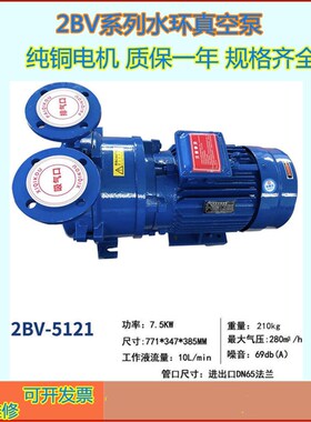 2BV水环式真空泵 可靠耐用 性能稳定 可选不锈钢材Y质 质保一年