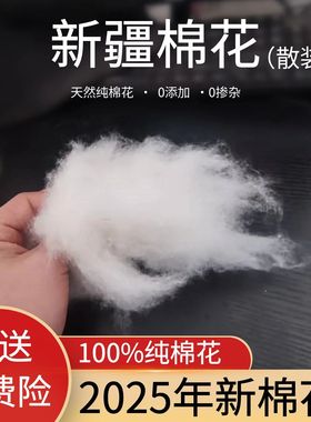 2025年新疆棉花一级优质长绒棉花脱籽散装皮棉被芯棉胎褥子填充物
