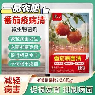 番茄病菌清西红柿病毒专用复合微生物菌剂小柿子防治杀菌剂叶面肥