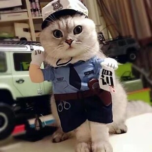 狗狗猫咪衣服抖音黑猫警长交警拿刀宠物搞怪搞笑变身装扮COS服饰