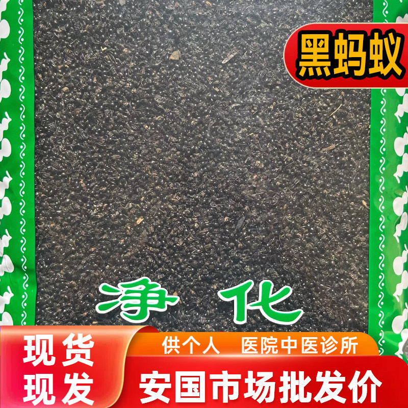 安国中药材市场 黑蚂蚁 大黑蚂蚁干可泡酒长白山山蚁1000克非野生