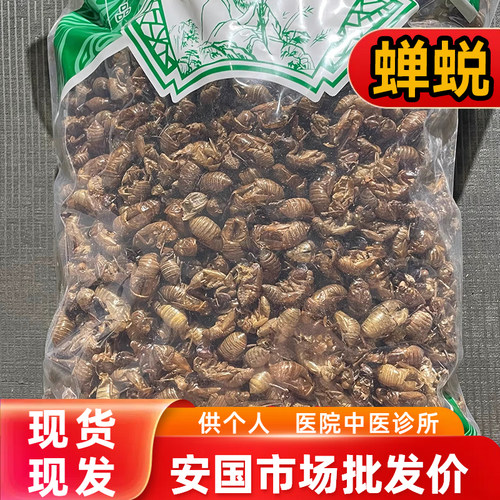 安国中药材市场批 发整个水洗 蝉蜕净货 蝉衣 虫退 蝉退500克包邮