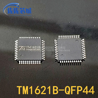 全新原装 TM1621 TM1621B HT1621B 贴片SSOP48 QFP44 TM/天微代理