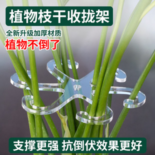 植物枝干收拢器支撑架园艺绿植花卉根茎固定器龟背竹防倒伏神器