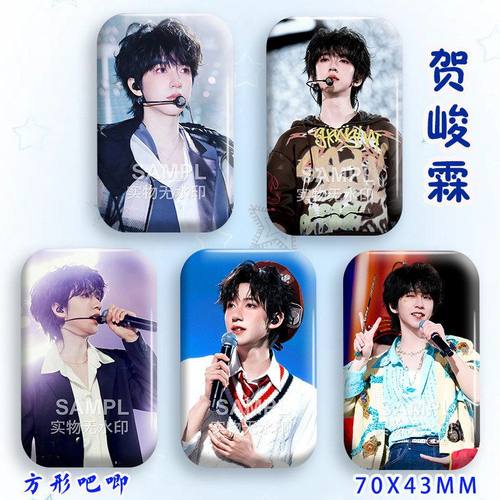 贺峻霖演唱会应援明星吧唧周边