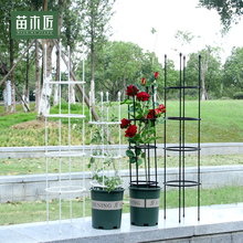 花架爬藤架花盆柱形玫瑰铁线莲月季架子户外阳台室内杆子植物支架