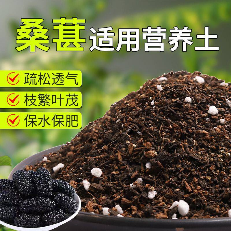 【桑葚专用土】疏松透气盆栽绿植专用园艺室内植物有机营养土肥料