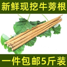 牛蒡根新鲜2025年现挖现卖多汁产地直发新鲜牛榜根官方旗舰店5斤