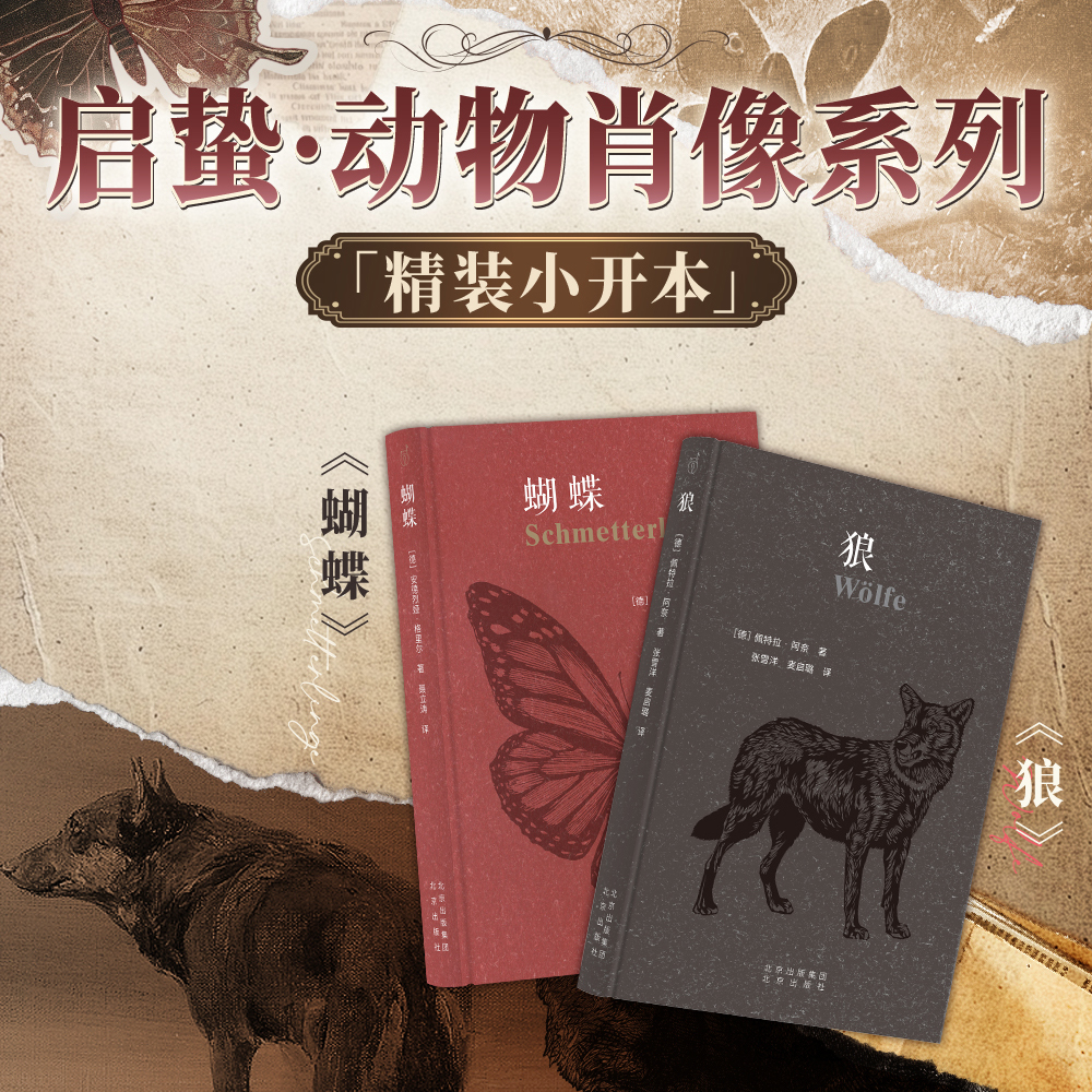 蝴蝶 狼 启蛰·动物肖像系列 精装小开本 安德烈娅·格里尔 深刻剖析人与自然的关系 西西弗书店