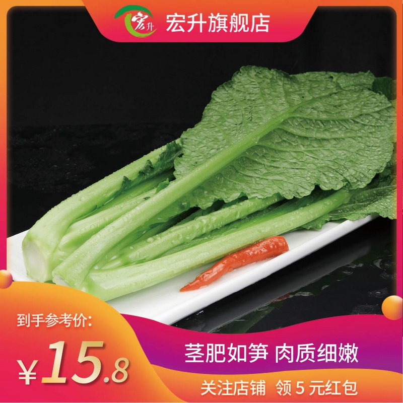 宏升新鲜春菜广州青菜农家健康叶菜火锅食材四季蔬菜小芥菜无公害