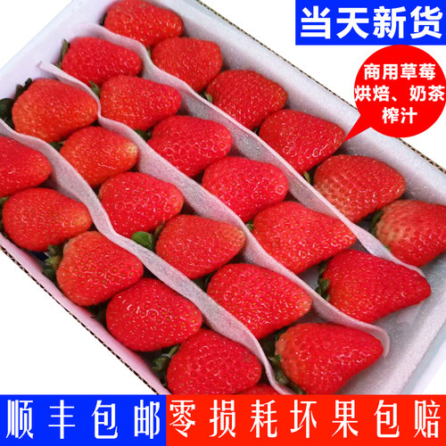 草莓新鲜供奶茶榨汁颗粒饱满均匀
