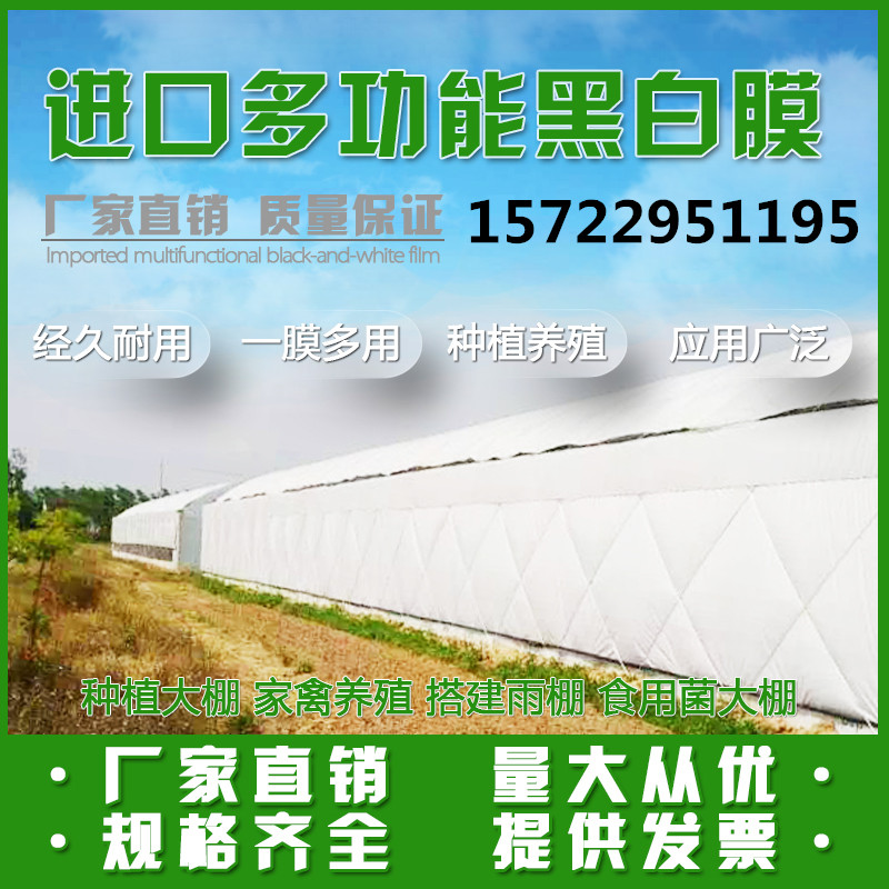 聚乙烯peeva黑白膜测试推荐