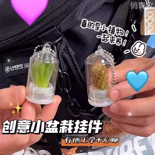 创意小盆栽试管绿色植物迷你多肉钥匙扣挂件仙人掌