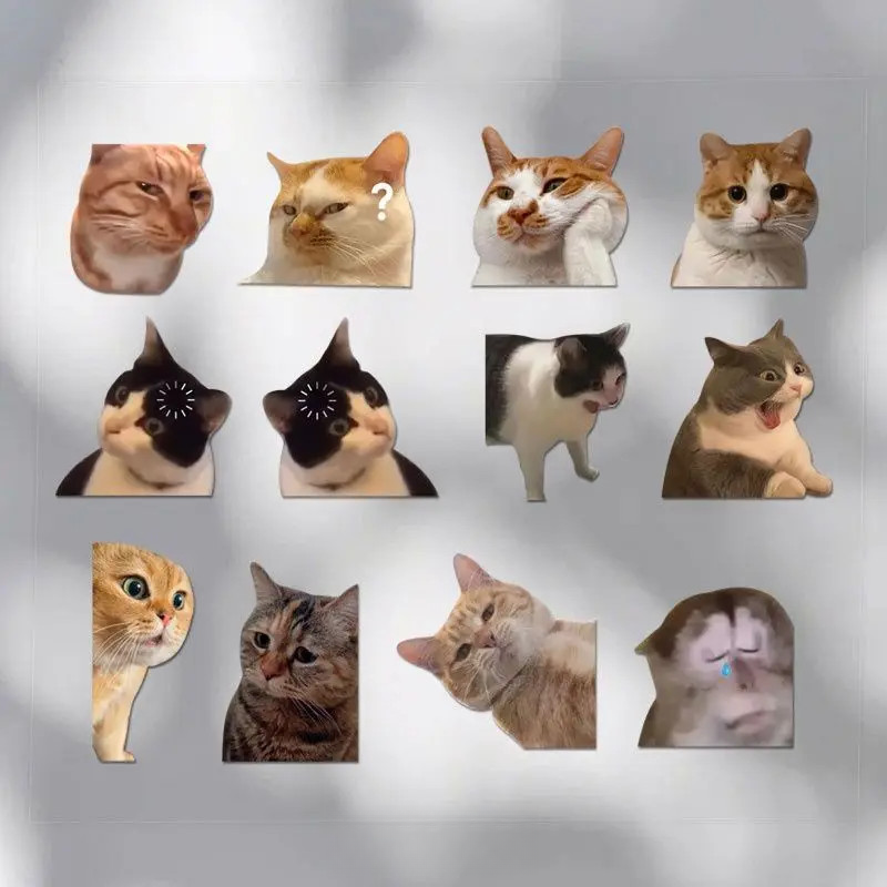 可爱搞笑哈基米迷因MEME猫猫咪惊讶表情宠物车贴笔记本多用防水贴