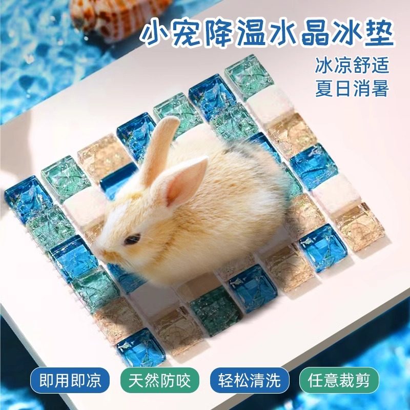 仓鼠冰垫夏天降温散热板用品宠物屋金丝熊兔子凉席垫避暑神器冰窝,居家日用,冰垫,淘宝优惠券,粉丝福利购,淘宝优惠卷