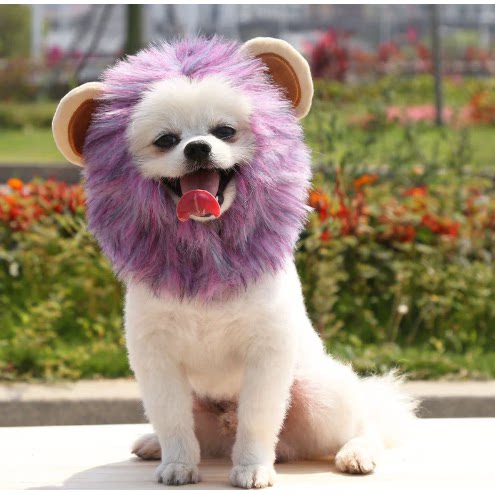 万圣节狮子变身鬼节宠物狗狗猫咪帽子可调节狗用品猫衣服饰秋冬