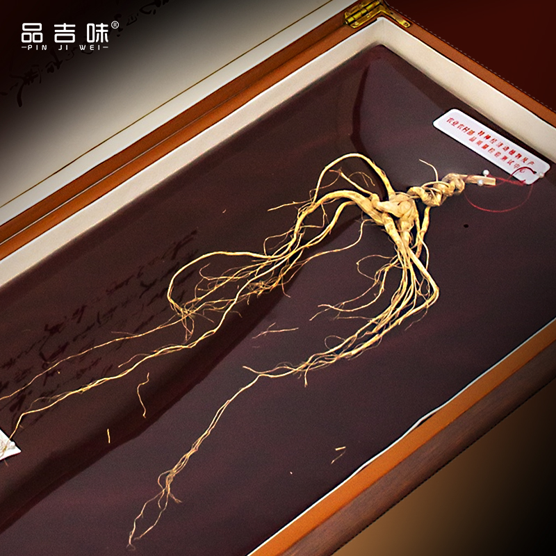 品吉味长白山野山参礼盒东北特产整枝山参高档滋补品送礼