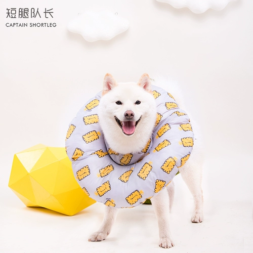 短腿队长 Собака Элизабет водонепроницаемый и широкопродажный футбольный круглый круг против кошачья кошка против