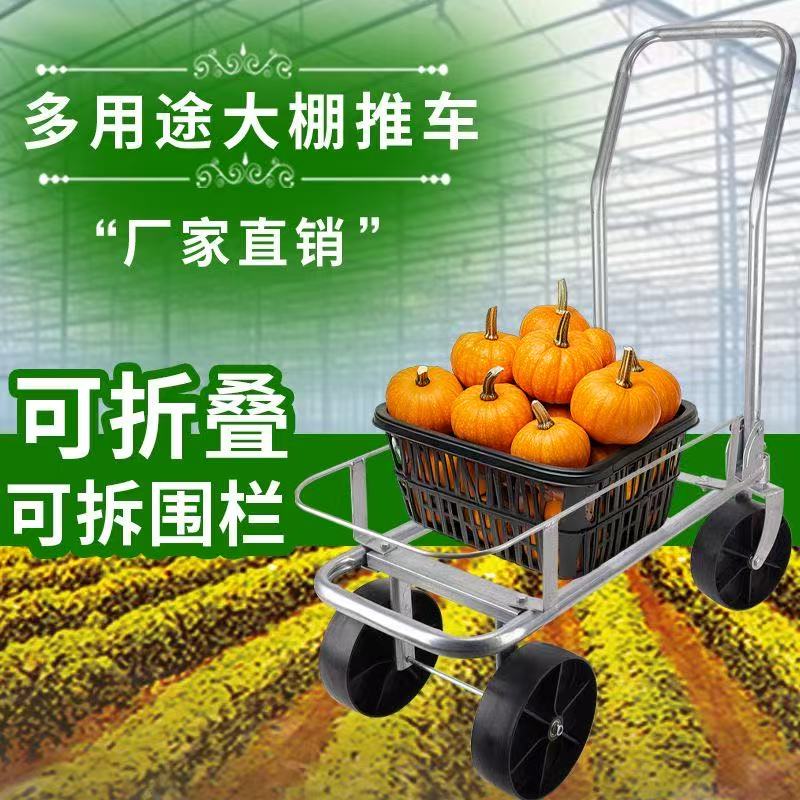 新款蔬菜专用采摘车大棚蔬菜