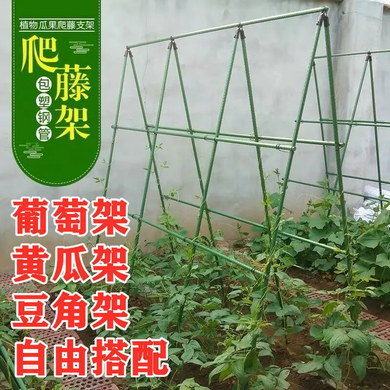 四季豆架子葡萄架种菜支撑杆西红柿架园艺竹竿子菜园搭架瓜棚搭架