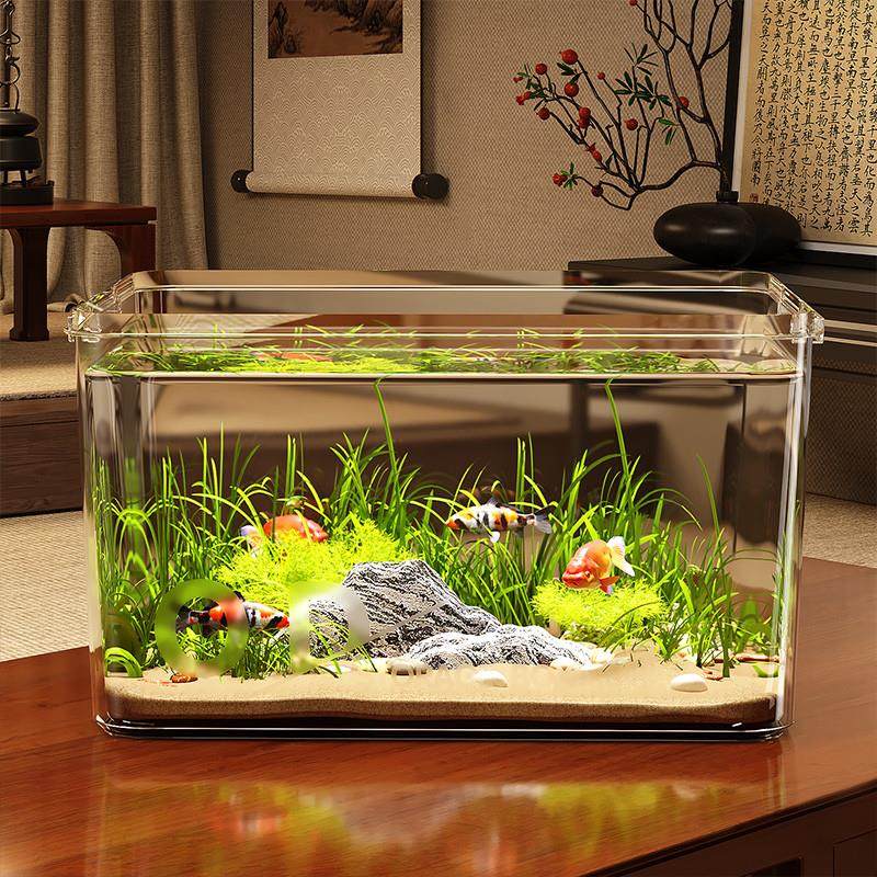 鱼缸客厅新款小金鱼乌龟饲养家用仿玻璃亚克力塑料小型桌面生态缸,宠物/宠物食品及用品,桌面缸,淘宝优惠券,粉丝福利购,淘宝优惠卷