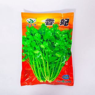 食用春季 香菜种籽芫荽四季 盆栽香莱籽种阳台蔬菜种子苗子种菜