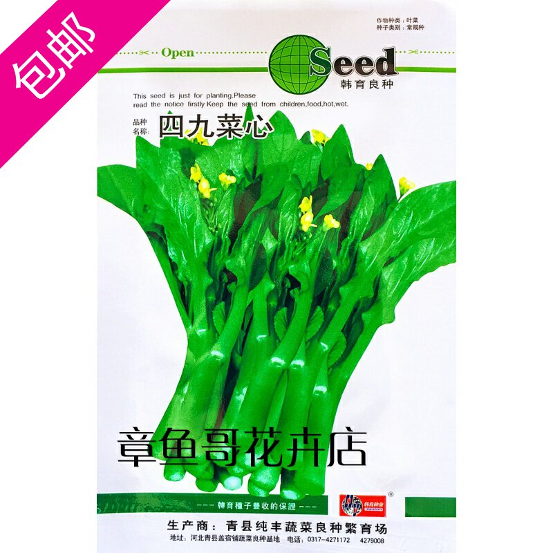 四九菜心种子翠绿油亮风味独特农家春夏播种优选菜心种籽