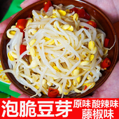 脆豆芽多口味原味藤椒麻辣酸辣小包装 脆豆芽酱菜速食即食下饭泡菜