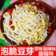 脆豆芽多口味原味藤椒麻辣酸辣小包装 脆豆芽酱菜速食即食下饭泡菜
