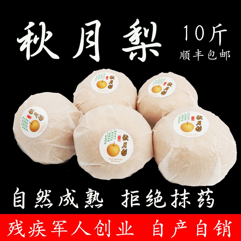 秋月梨冰糖梨蜜凤凰秋香羊脂新鲜水果10斤包邮非丰水山东莱西特产|msdalam kategori daging perikanan/Buah-buahan segar dan sayur-sayuran/dimasak, buah-buahan segar, Pear - dari Buy2taobao.com untuk memberikan perkhidmatan ejen Taobao profesional membeli