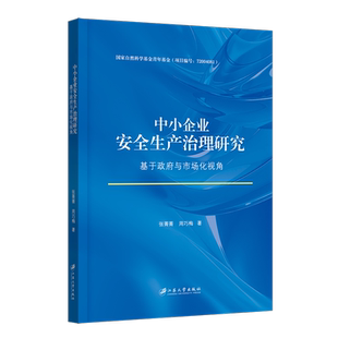 中小企业安全生产治理研究 基于政府与市场化视角