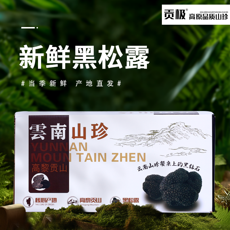 贡极黑松露礼盒新鲜松露云南香格里拉野生黑松露菌500g猪拱菌块菌,水产肉类/新鲜蔬果/熟食,新鲜松茸/菌菇,淘宝优惠券,粉丝福利购,淘宝优惠卷