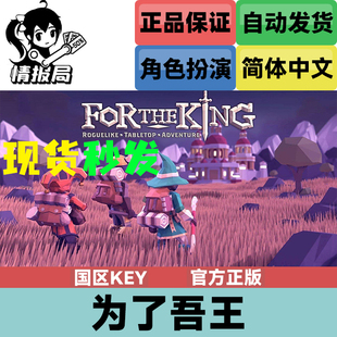 Steam正版游戏 为了吾王 为了国王 For The King 国区key 全球key