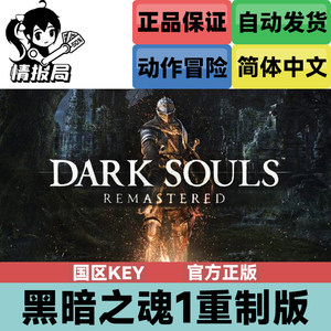 Steam游戏黑暗之魂1国区key