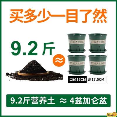 园艺土通用型家用发财农用种树泥士YGG黑土树松花枝奔营养泥土绿