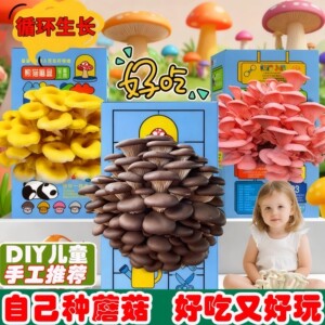 蘑菇种植包儿童种植蘑菇小盆栽