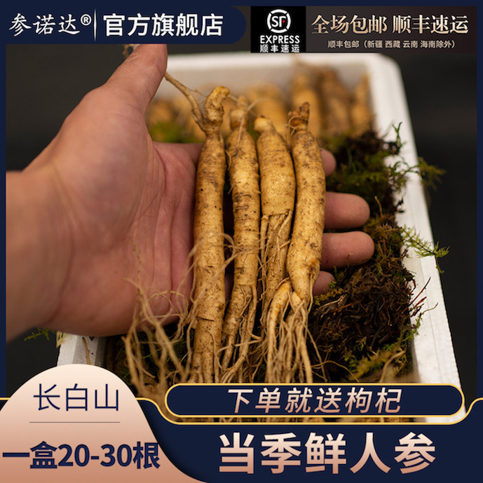 鲜人参长白山鲜参带土大支泡酒炖汤东北林下鲜参园参整支保鲜正品
