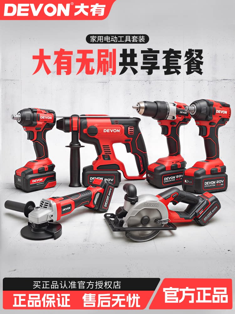 大有5401充电电锤电镐两用锂电冲击钻打混凝土家用电动工具套装