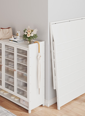 2025新款爆款免安装折叠鞋柜子家用门口鞋架简易一体收纳多层防尘