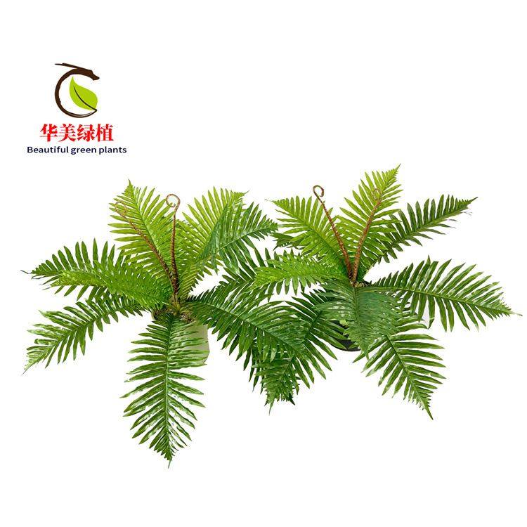 真大号厥叶波斯草 蕨类植物绿植墙装饰塑胶花盆栽diy盆景摆设